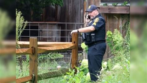 Environmental police monitoring area in Kingston after bear shot for attacking goat